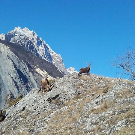 Location Vacances Saint Michel De Maurienne "Le Dahu"アパートメント エクステリア 写真
